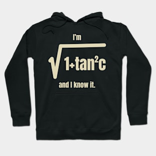 I’m 1 + Tan 2 C And I Know It Shirt Hoodie